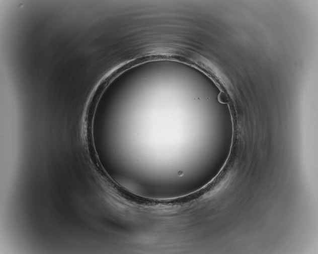 X0000099970779200805301333