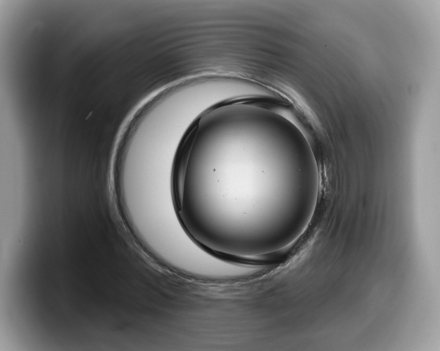 X0000099970780200805301333