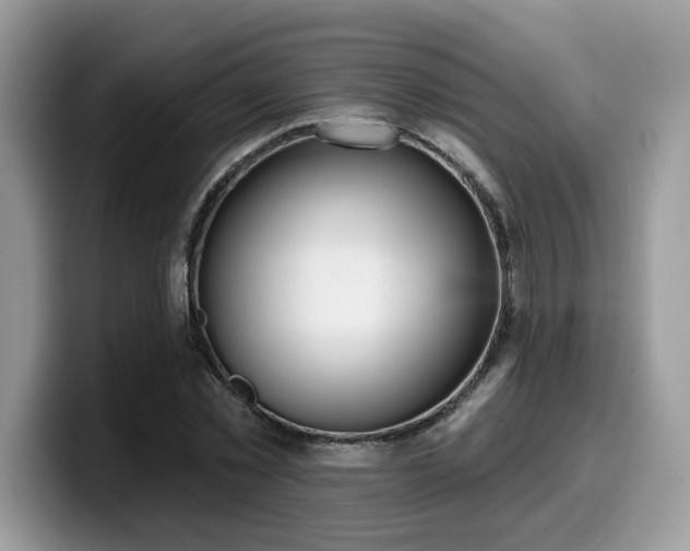 X0000099970781200805301333