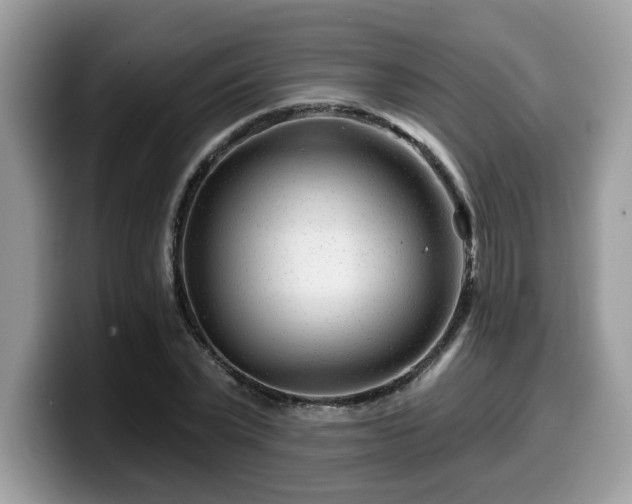 X0000099970783200805301333