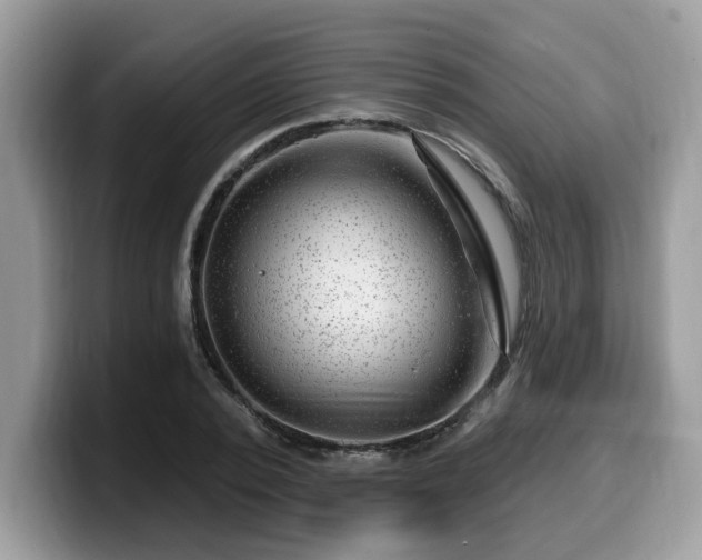 X0000099970784200805301333