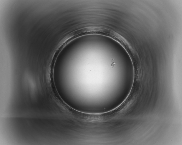 X0000099970786200805301333