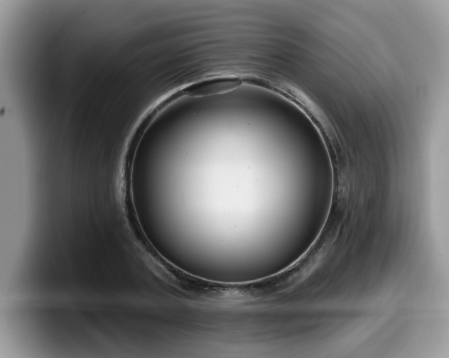 X0000099970787200805301333