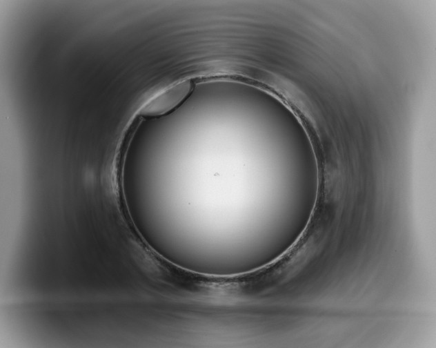 X0000099970789200805301333