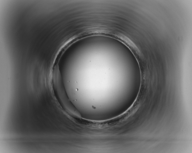 X0000099970790200805301333