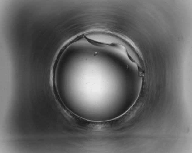 X0000099970791200805301333