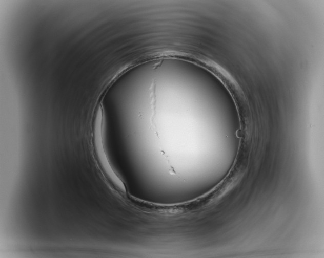 X0000099970793200805301333