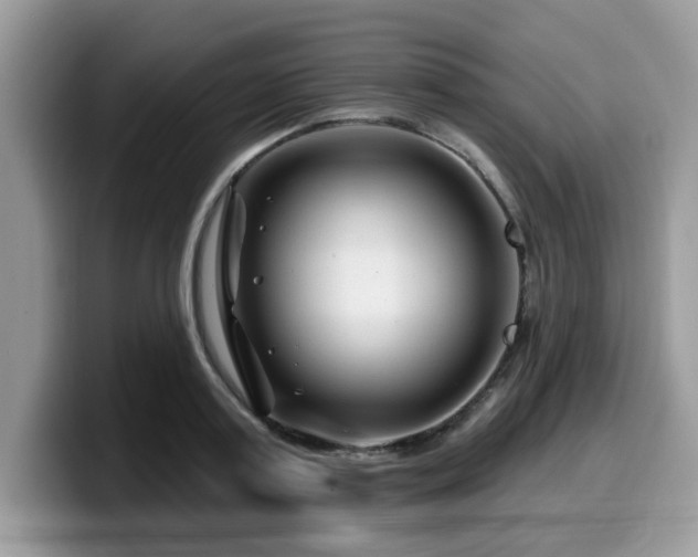 X0000099970795200805301333