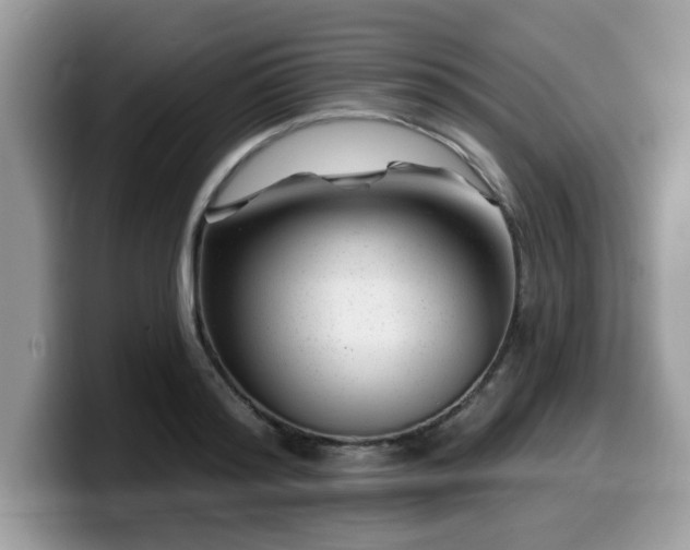 X0000099970796200805301333