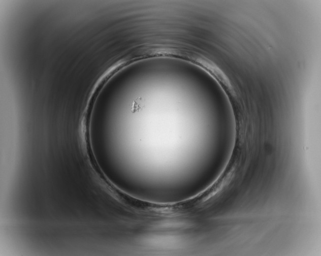 X0000099970798200805301333