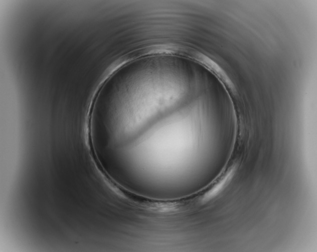 X0000099970802200805301333