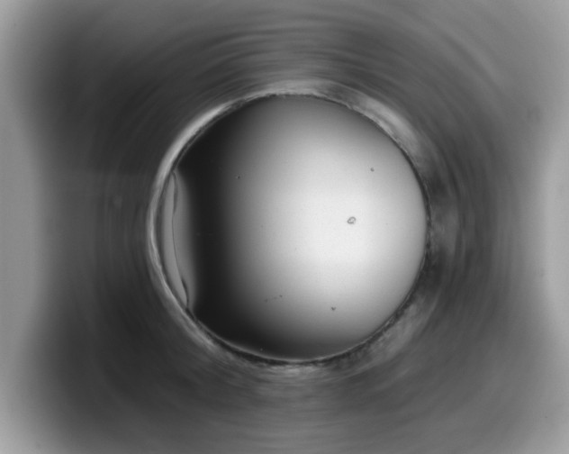 X0000099970804200805301333