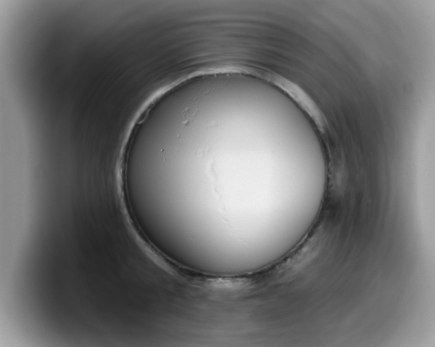 X0000099970805200805301333