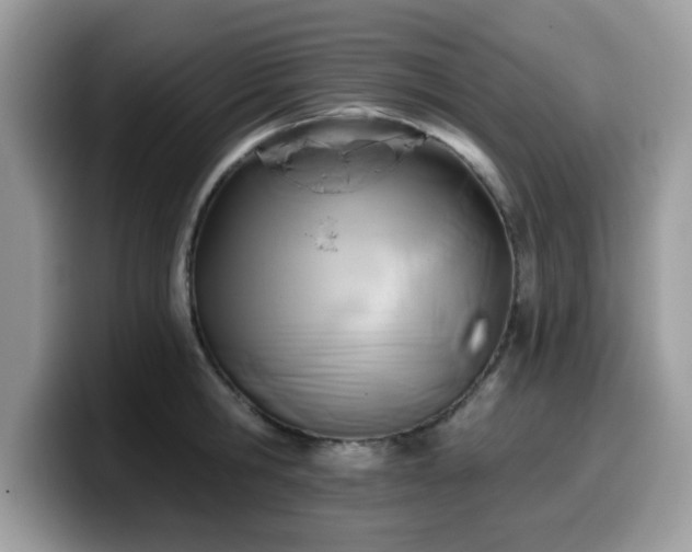 X0000099970806200805301332