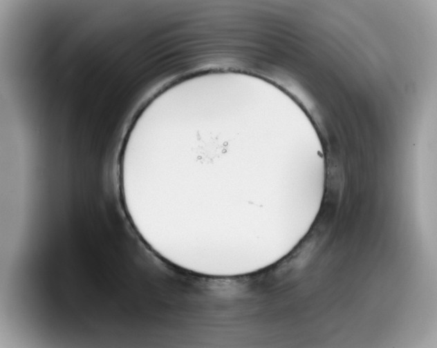 X0000099970807200805301332