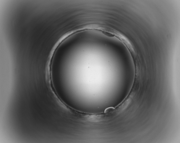 X0000099970808200805301332