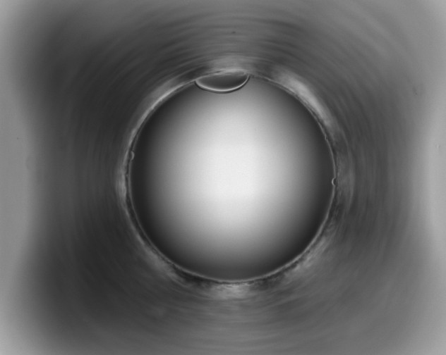 X0000099970810200805301332