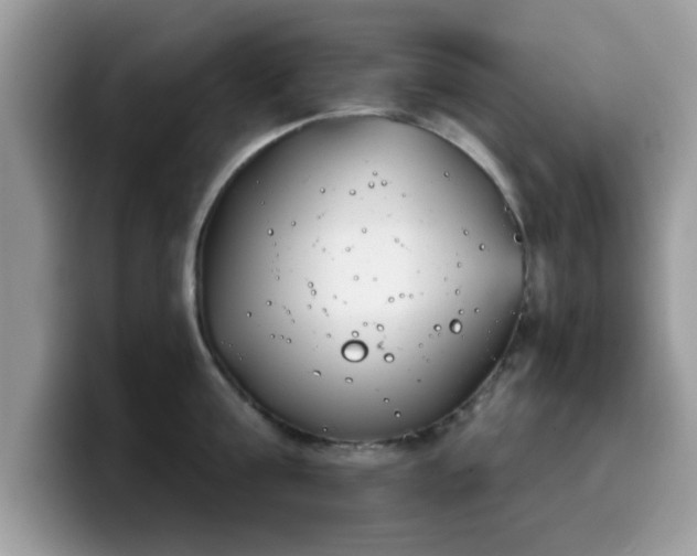 X0000099970811200805301332