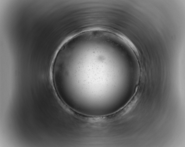 X0000099970813200805301332