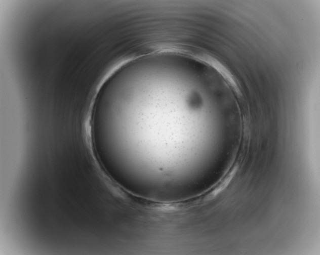 X0000099970814200805301332