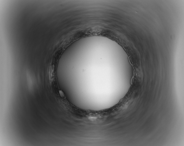 X0000099970818200805301332