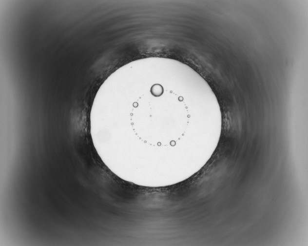 X0000099970820200805301332