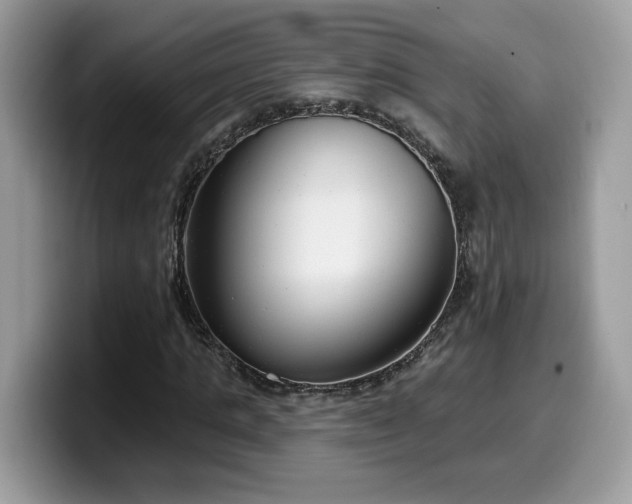 X0000099970821200805301332