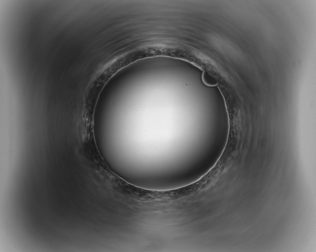 X0000099970822200805301332