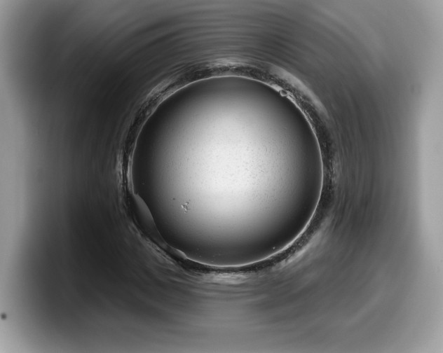 X0000099970825200805301332