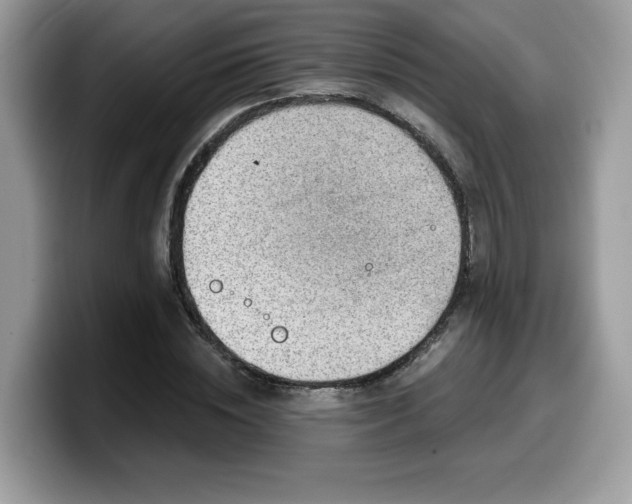 X0000099970828200805301332