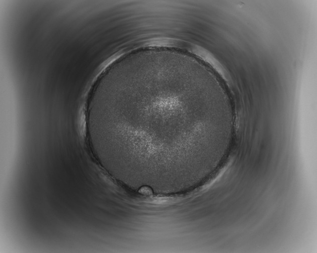 X0000099970829200805301332