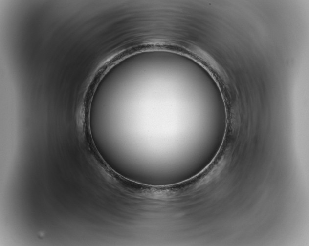 X0000099970831200805301332