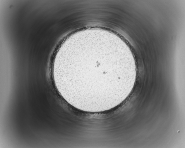 X0000099970832200805301332