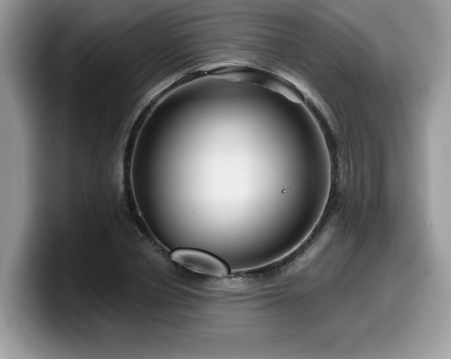 X0000099970834200805301332