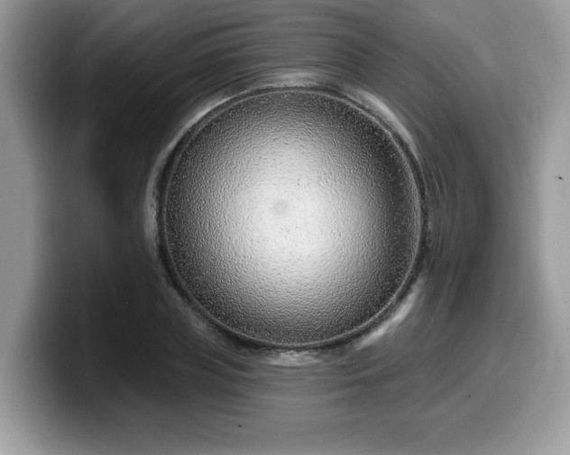 X0000099970835200805301332