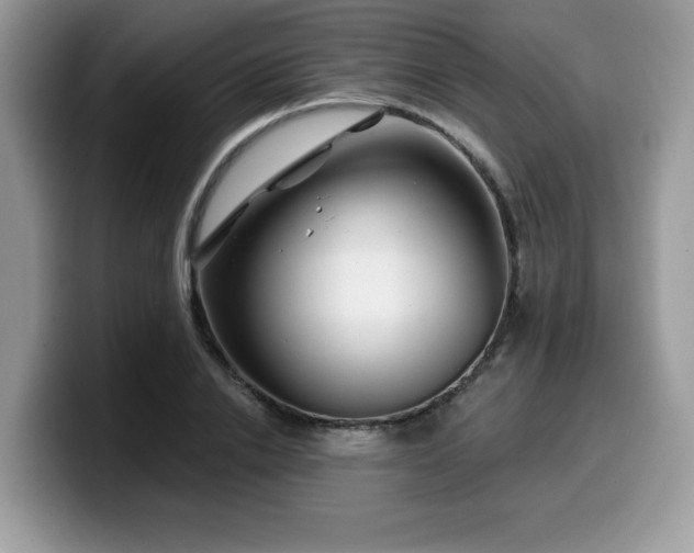 X0000099970838200805301332