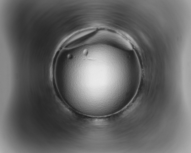 X0000099970839200805301332