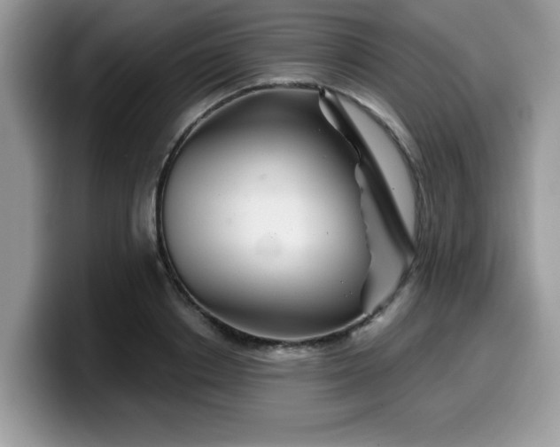 X0000099970842200805301332