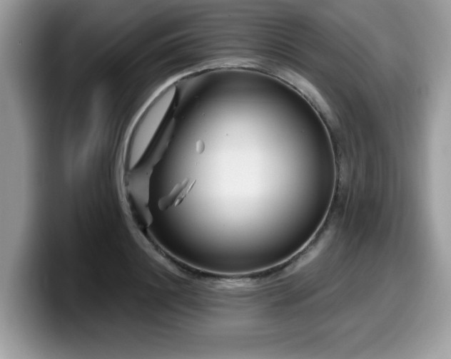 X0000099970844200805301332