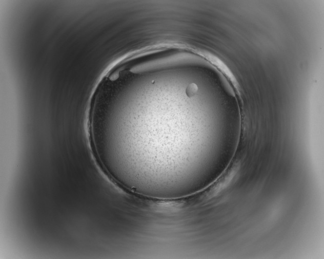 X0000099970847200805301332