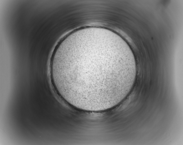 X0000099970848200805301332