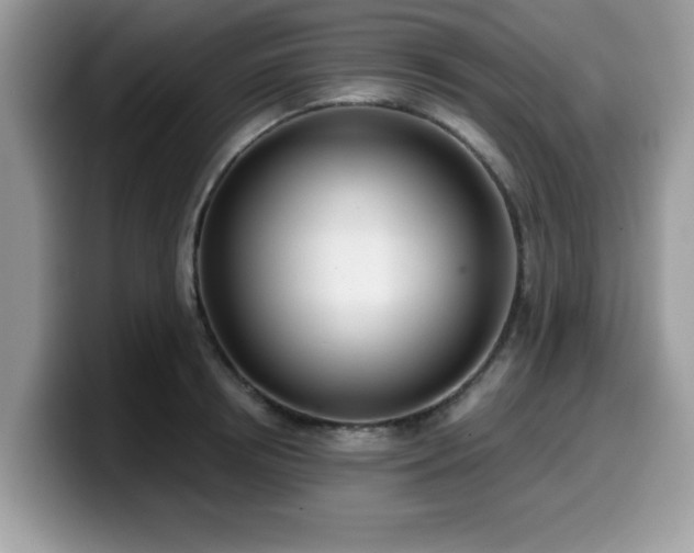 X0000099970850200805301332