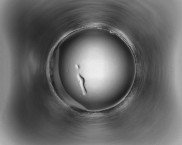 X0000099970851200805301332