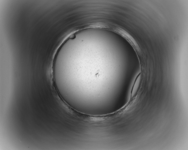 X0000099970852200805301332