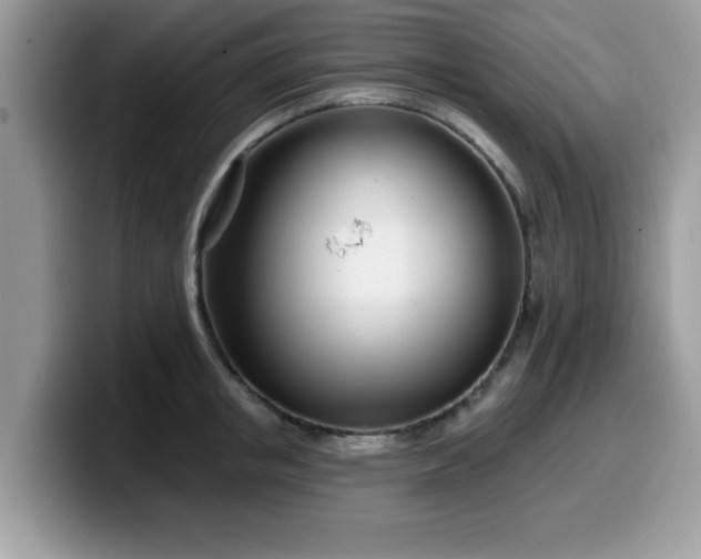 X0000099970853200805301332