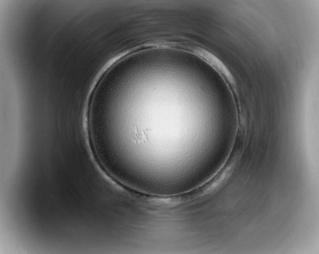 X0000099970855200805301332