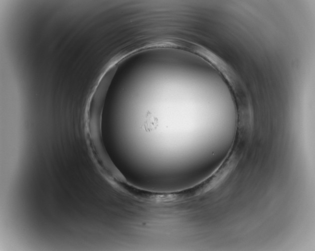 X0000099970858200805301332