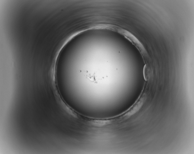 X0000099970860200805301332