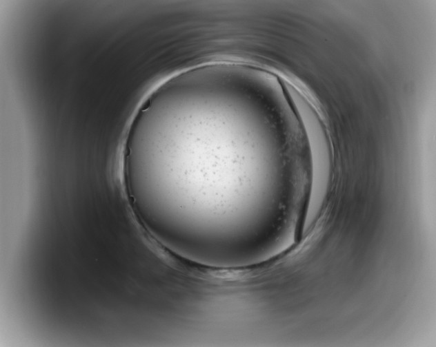 X0000099970862200805301332