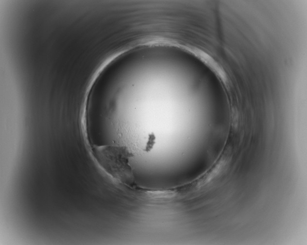 X0000099970863200805301332